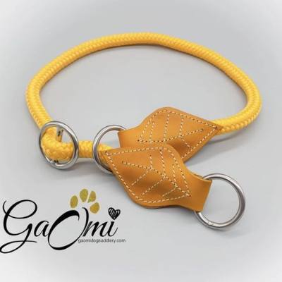 Laisse chien paracorde PPM cuir